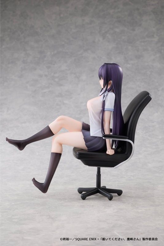  Takane Takamine - Please Put Them On, Takamine-san - Dragon Horse 