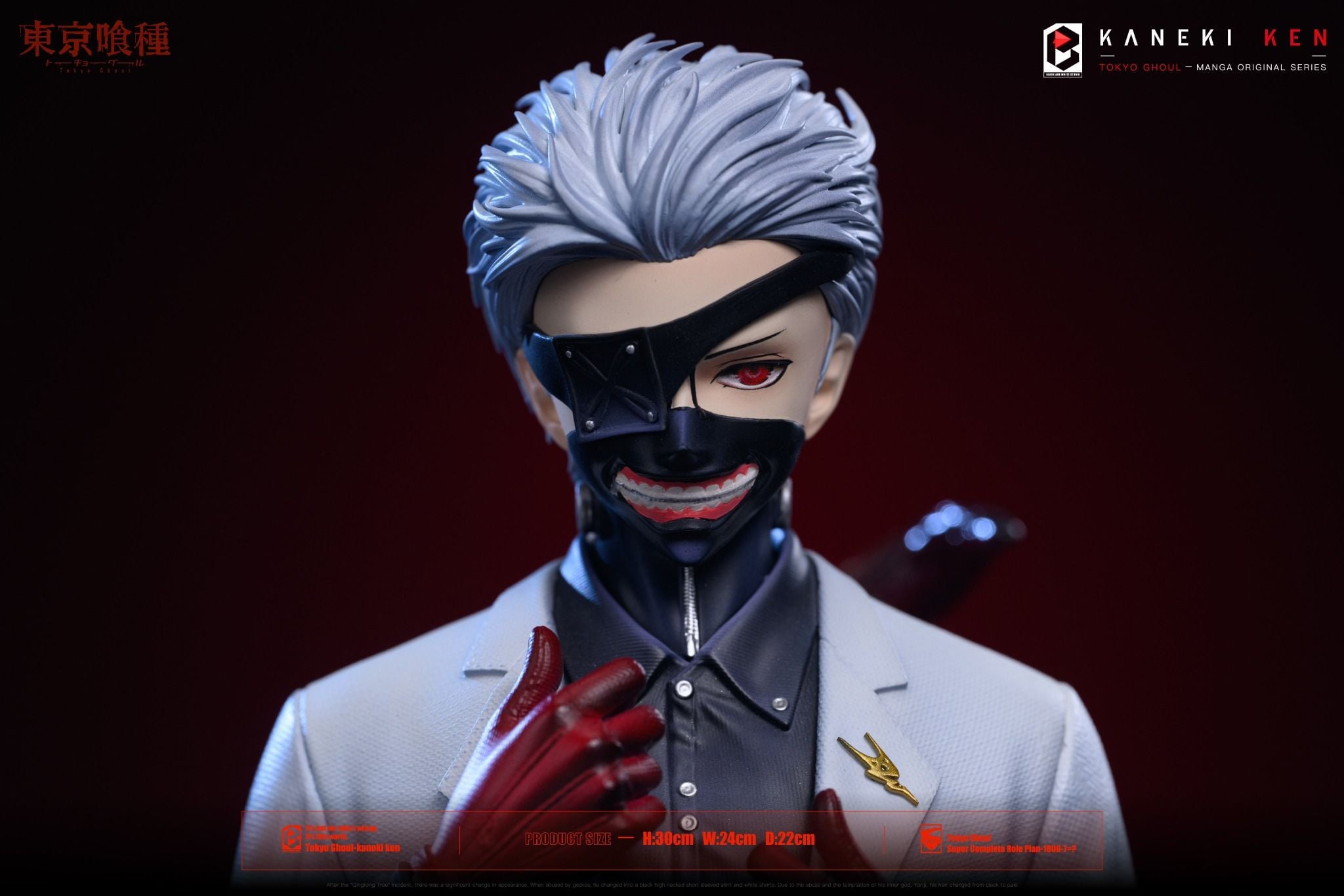  Kaneki Ken- Tokyo Ghoul - BW Studio 