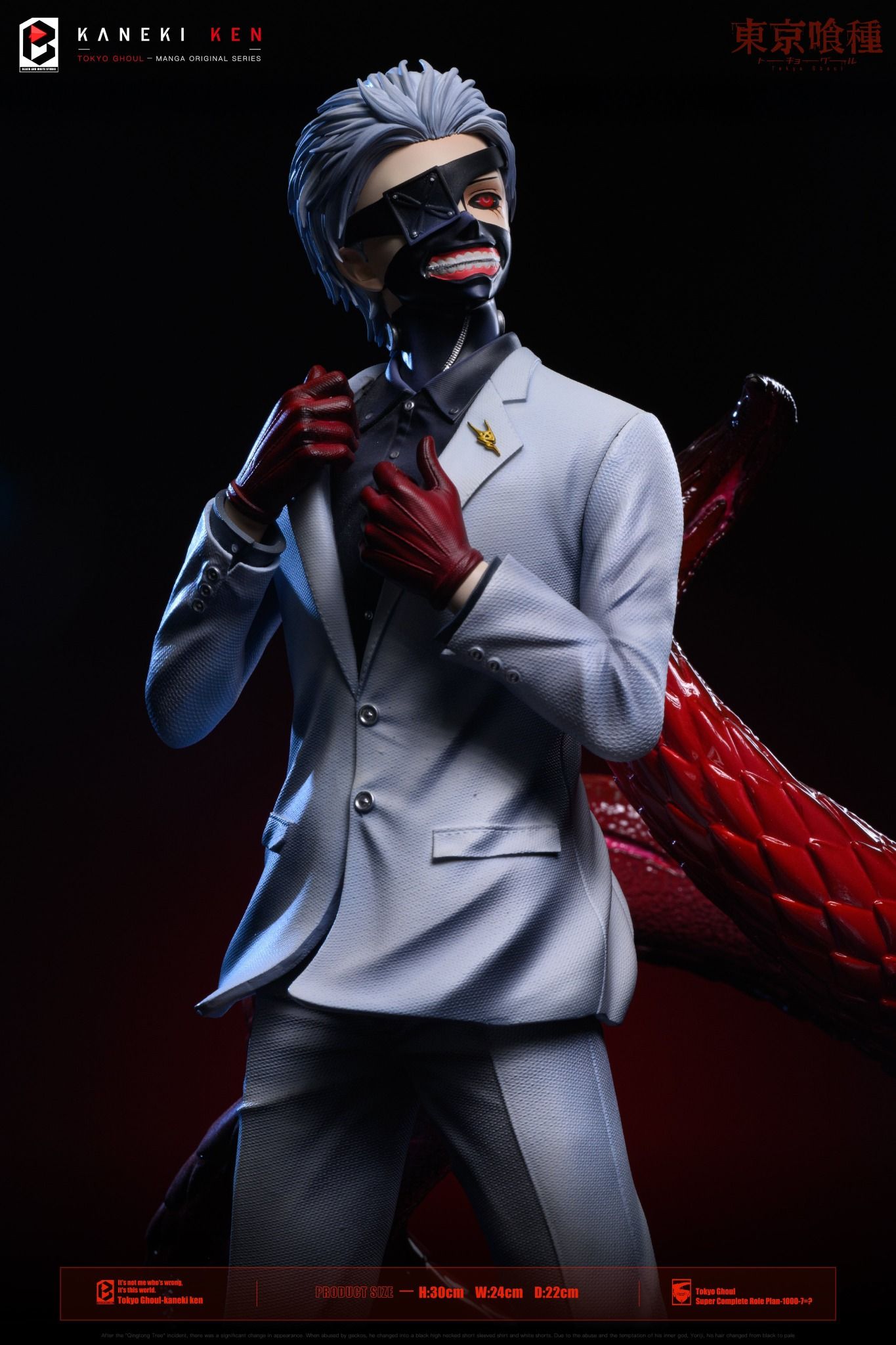  Kaneki Ken- Tokyo Ghoul - BW Studio 