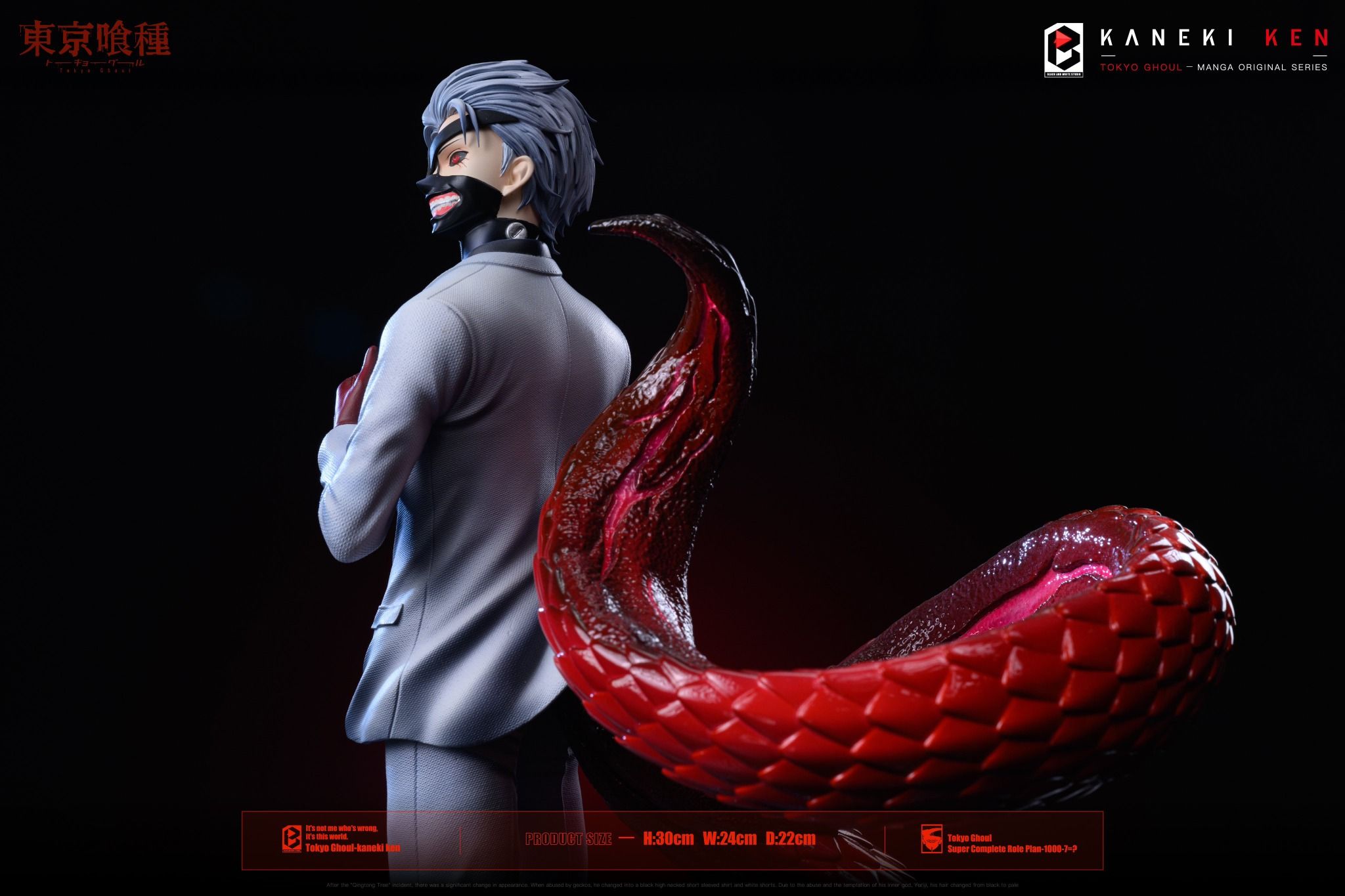  Kaneki Ken- Tokyo Ghoul - BW Studio 