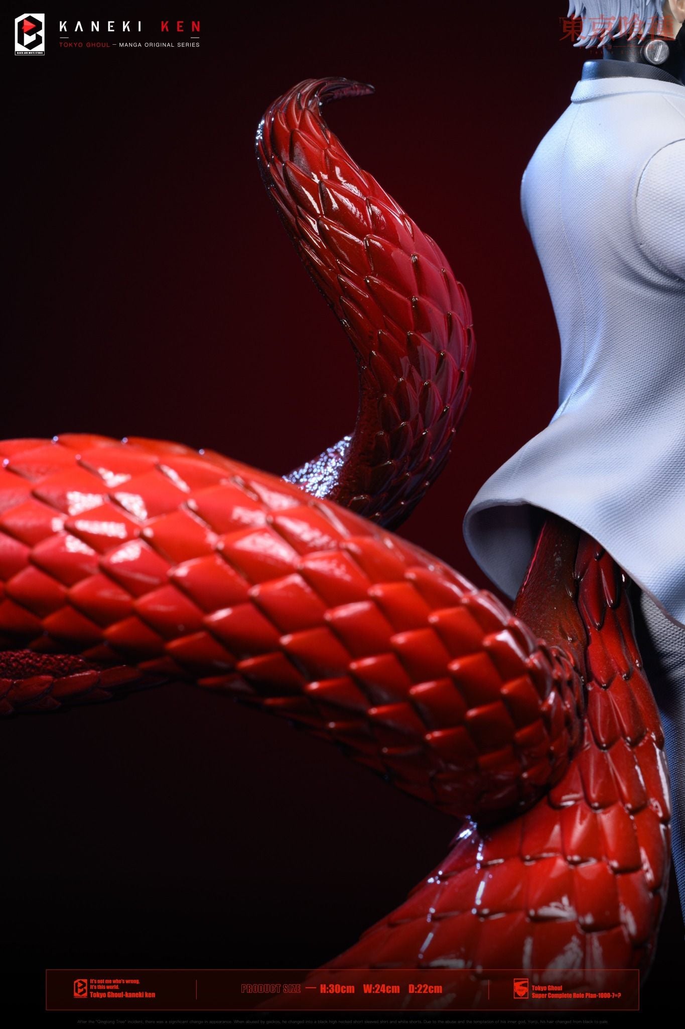  Kaneki Ken- Tokyo Ghoul - BW Studio 