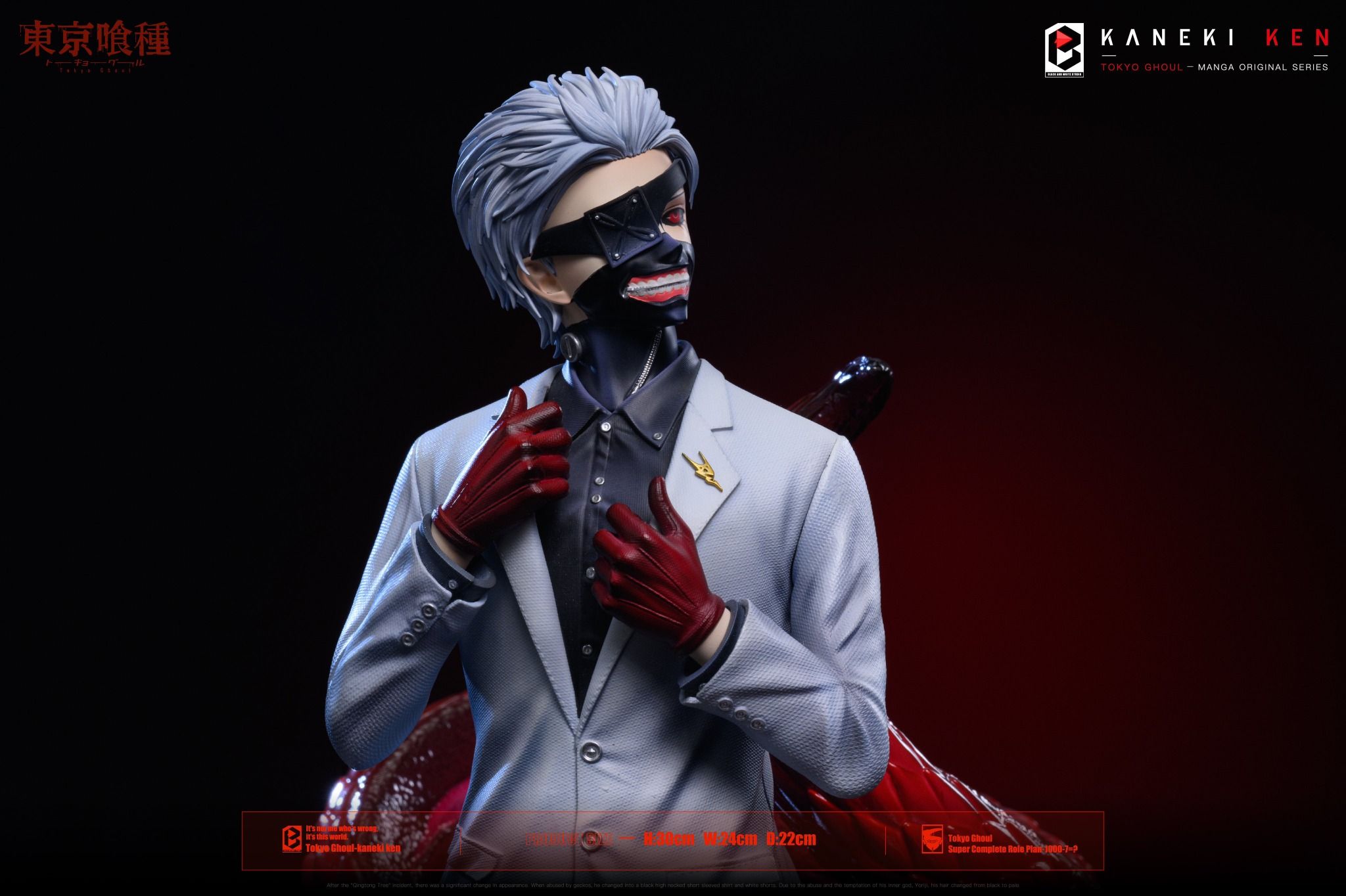  Kaneki Ken- Tokyo Ghoul - BW Studio 
