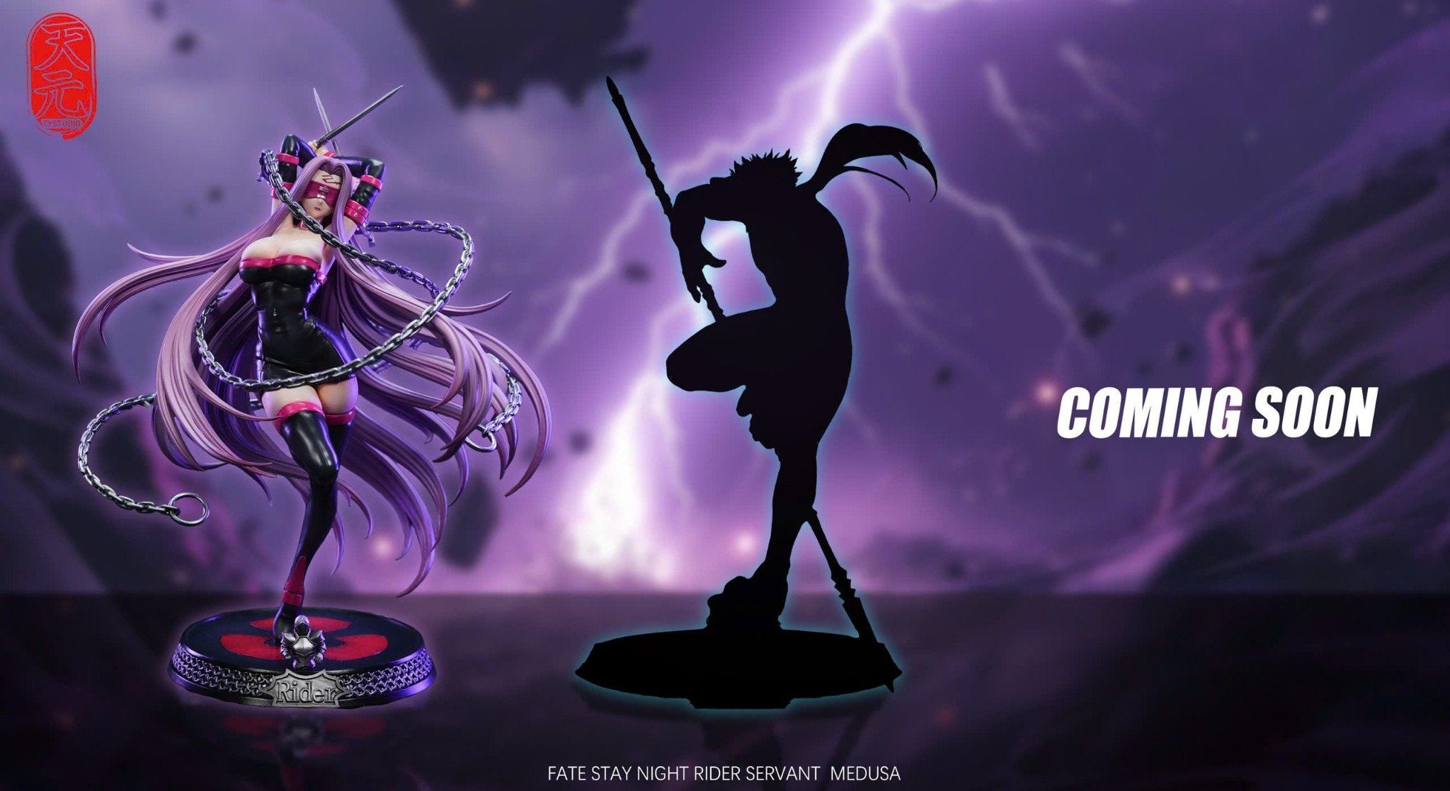  Rider - Fate/Stay Night - TY Studio 