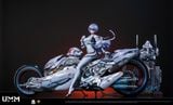  Rei Ayanami - Evangelion - DT UME Studio 