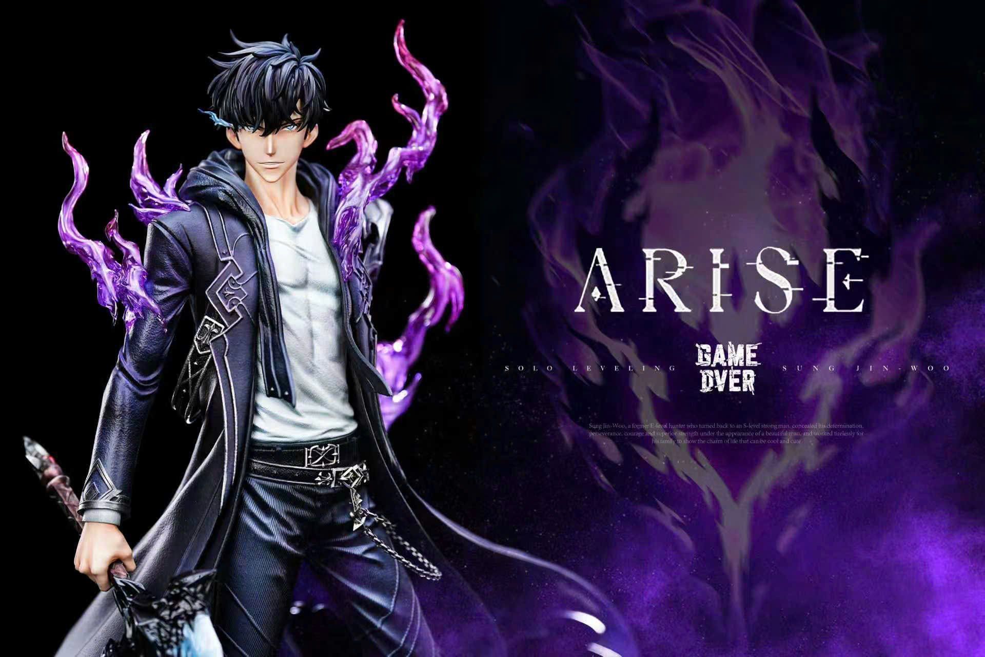  Sung Jin Woo - Solo Levelling - Game Over Studio 