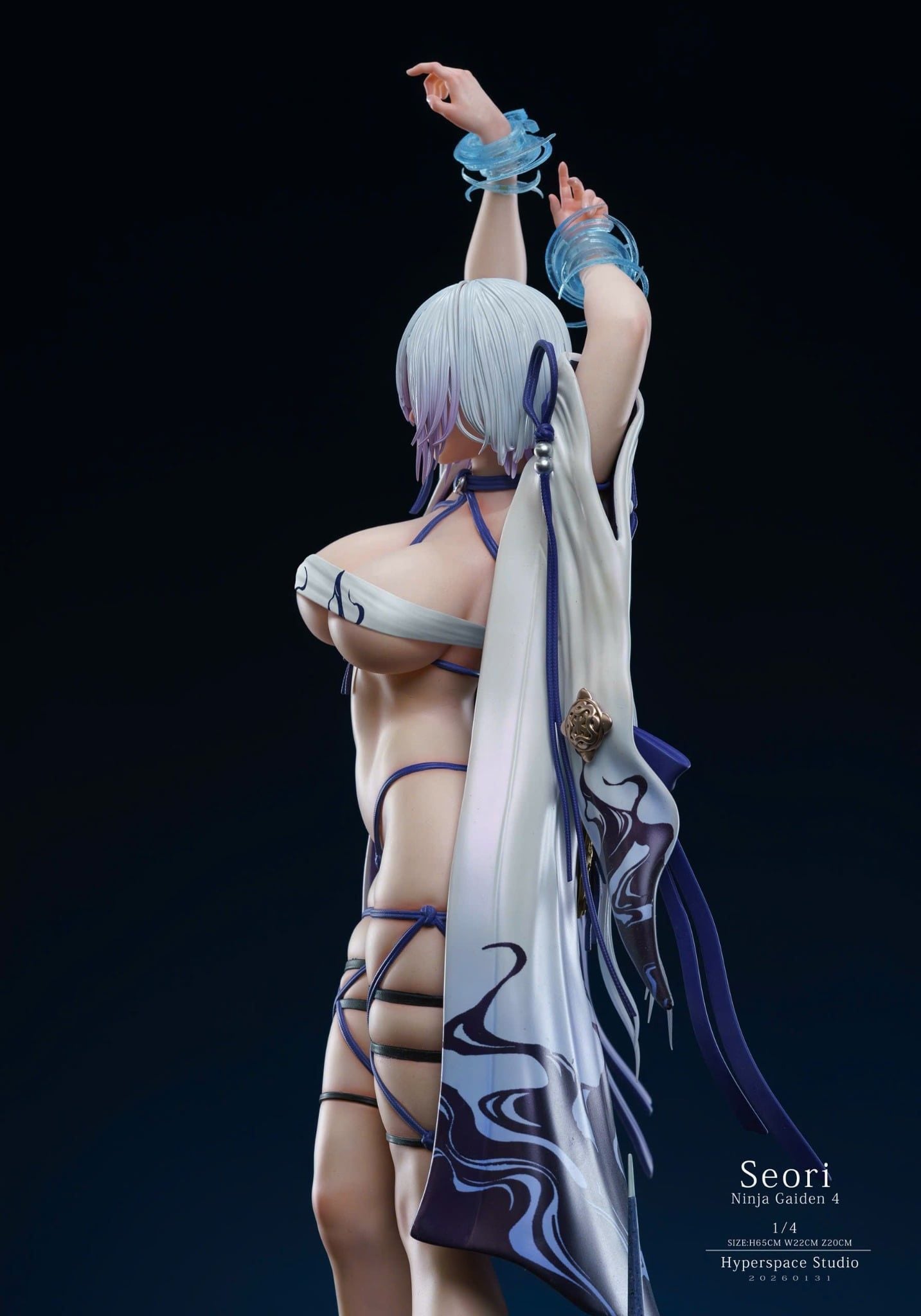  Seori - Ninja Gaiden - Hyperspace Studio 