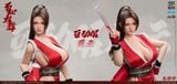  Mai Shiranui - Street Fighter - C Box Studio 