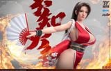  Mai Shiranui - Street Fighter - C Box Studio 