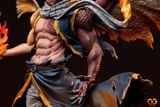  Natsu - Fairy Tail - GuGu Studio 