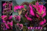  Magnamalo - Monster Hunter - Ashes Studio 