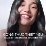  Viên uống giảm rụng tóc, rụng tóc sau sinh Biotin Pháp Arkopharma tóc chắc khỏe bóng mượt-TPBVSK Forcapil Fortifiant 60v 