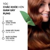  Viên uống mọc tóc, giảm rụng tóc Biotin Pháp Arkopharma dưỡng nang tóc, tóc chắc khoẻ-TPBVSK Forcapil Antichute 30v 