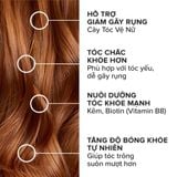  Viên uống mọc tóc, giảm rụng tóc Biotin Pháp Arkopharma dưỡng nang tóc, tóc chắc khoẻ-TPBVSK Forcapil Antichute 30v 