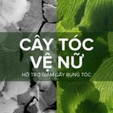  Viên uống mọc tóc, giảm rụng tóc Biotin Pháp Arkopharma dưỡng nang tóc, tóc chắc khoẻ-TPBVSK Forcapil Antichute 30v 