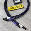 T2-09B2​ Dây tín hiệu Furutech FA-αS22 - Hoàn thiện jack RCA FP-110 (G) - FA alpha S22