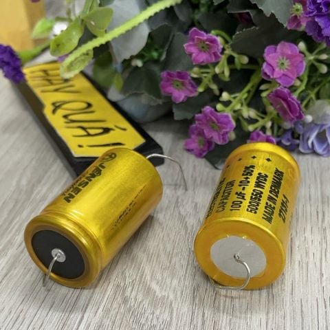  T9-10H (Hết hàng)​ Tụ nguồn Jensen 100uf - 500/550VDC 