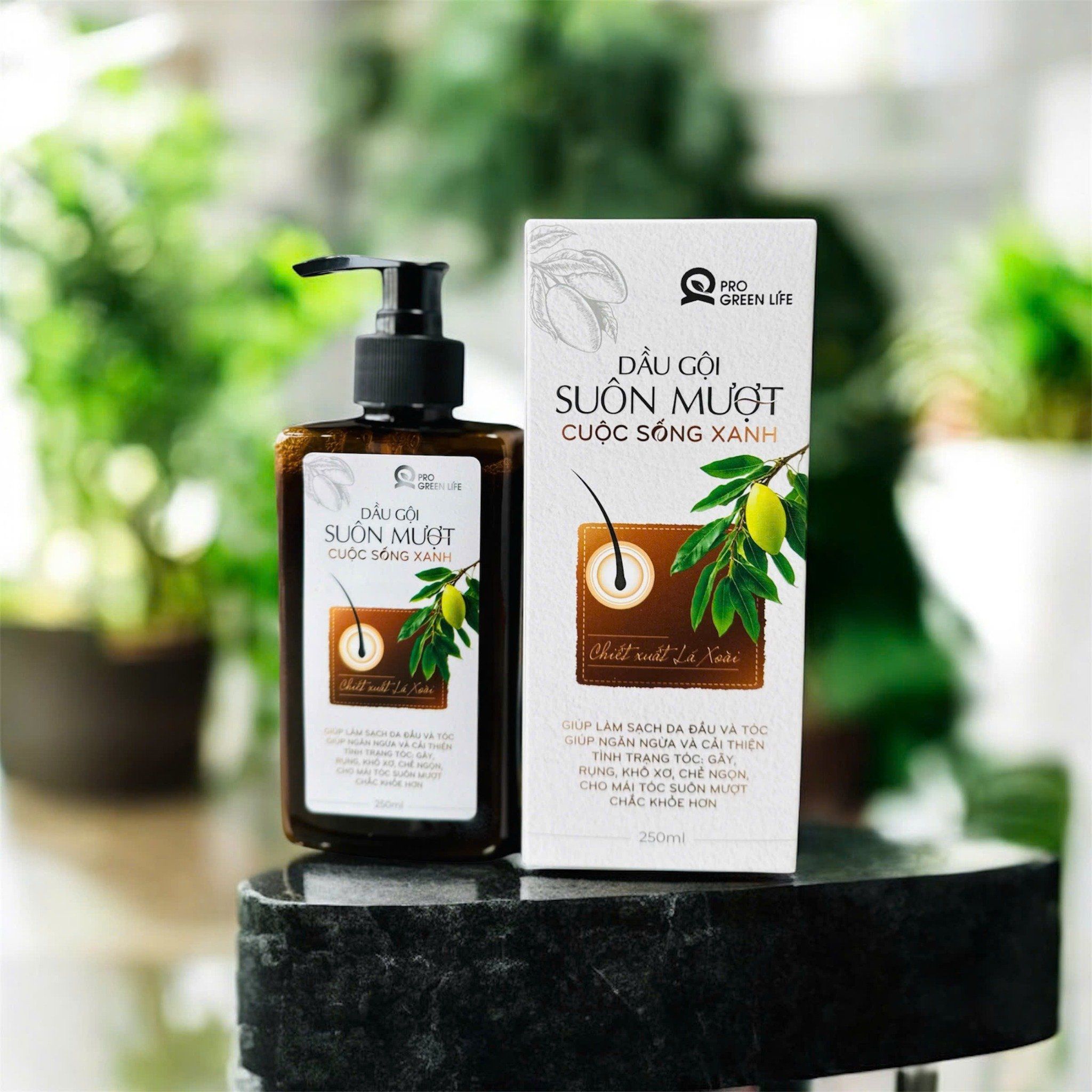  Dầu Gội Suôn Mượt Cuộc Sống Xanh 250ml 