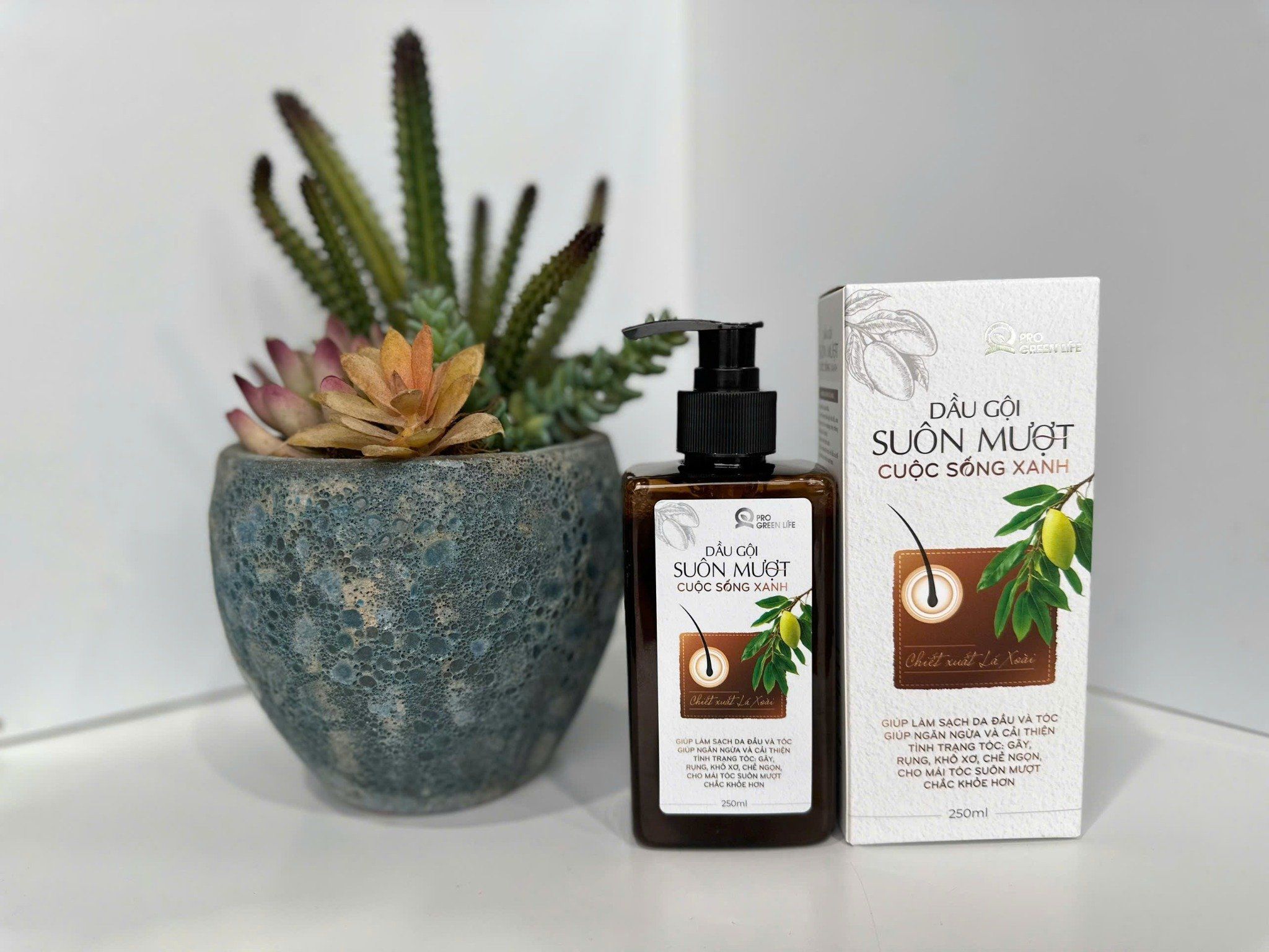  Dầu Gội Suôn Mượt Cuộc Sống Xanh 250ml 