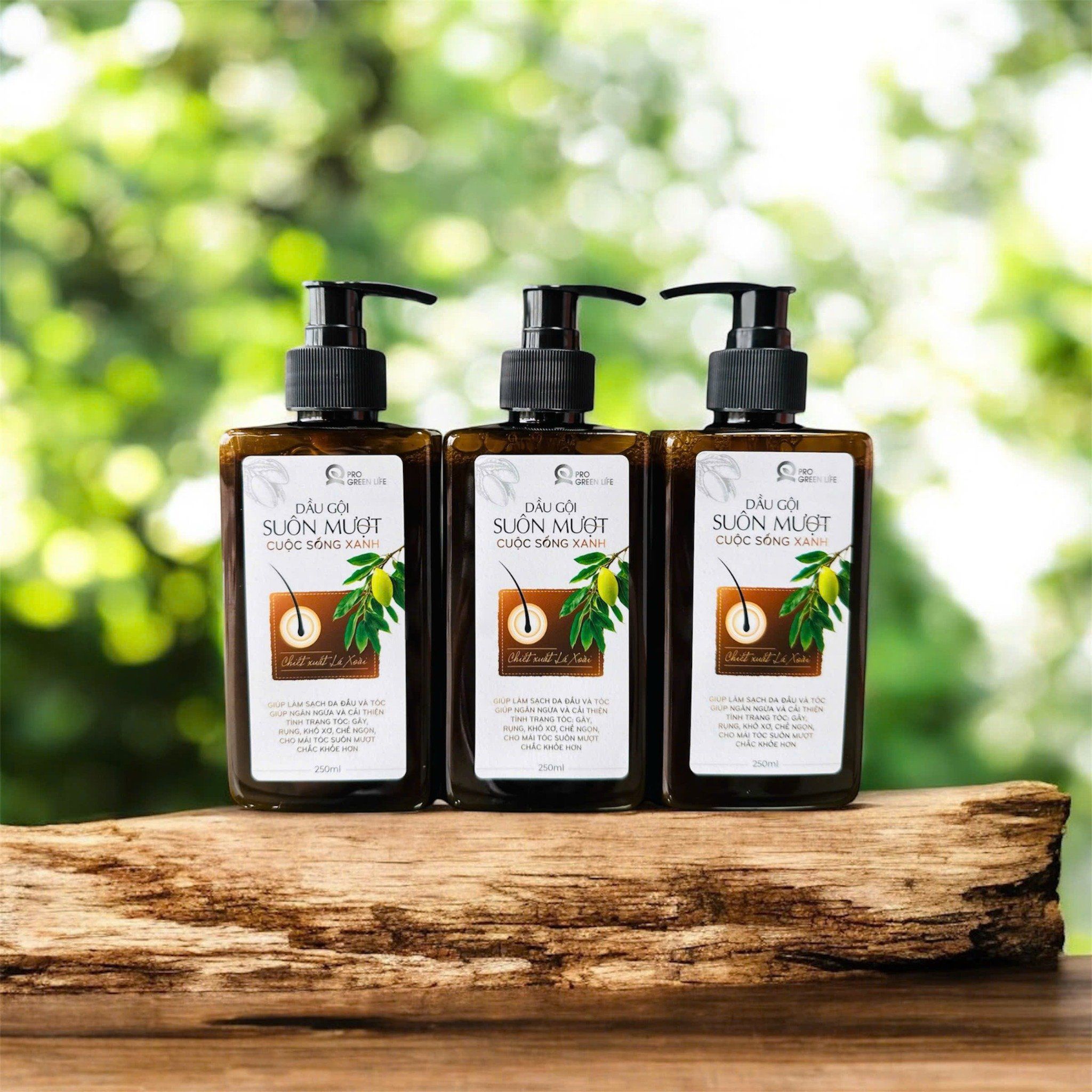  Dầu Gội Suôn Mượt Cuộc Sống Xanh 250ml 