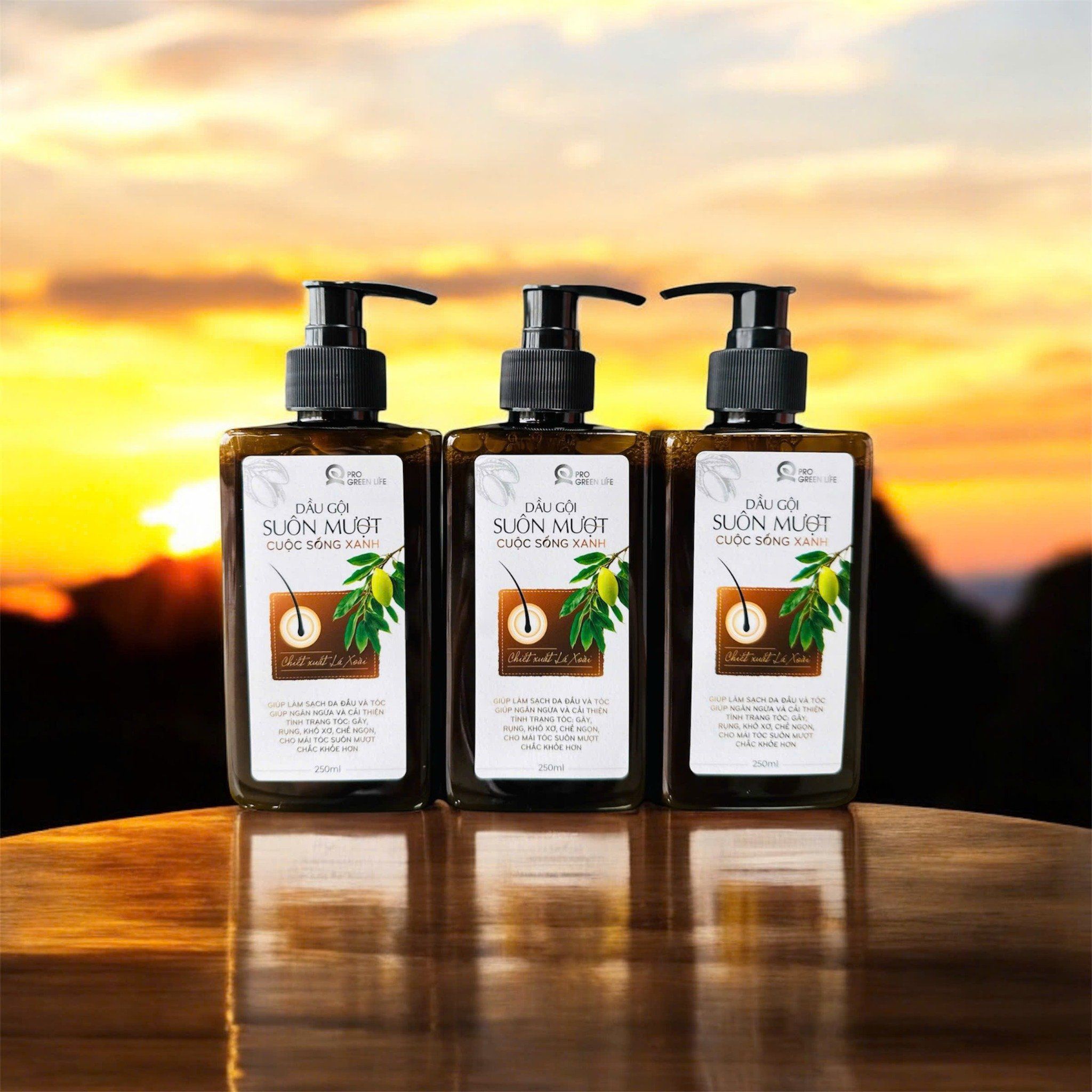  Dầu Gội Suôn Mượt Cuộc Sống Xanh 250ml 