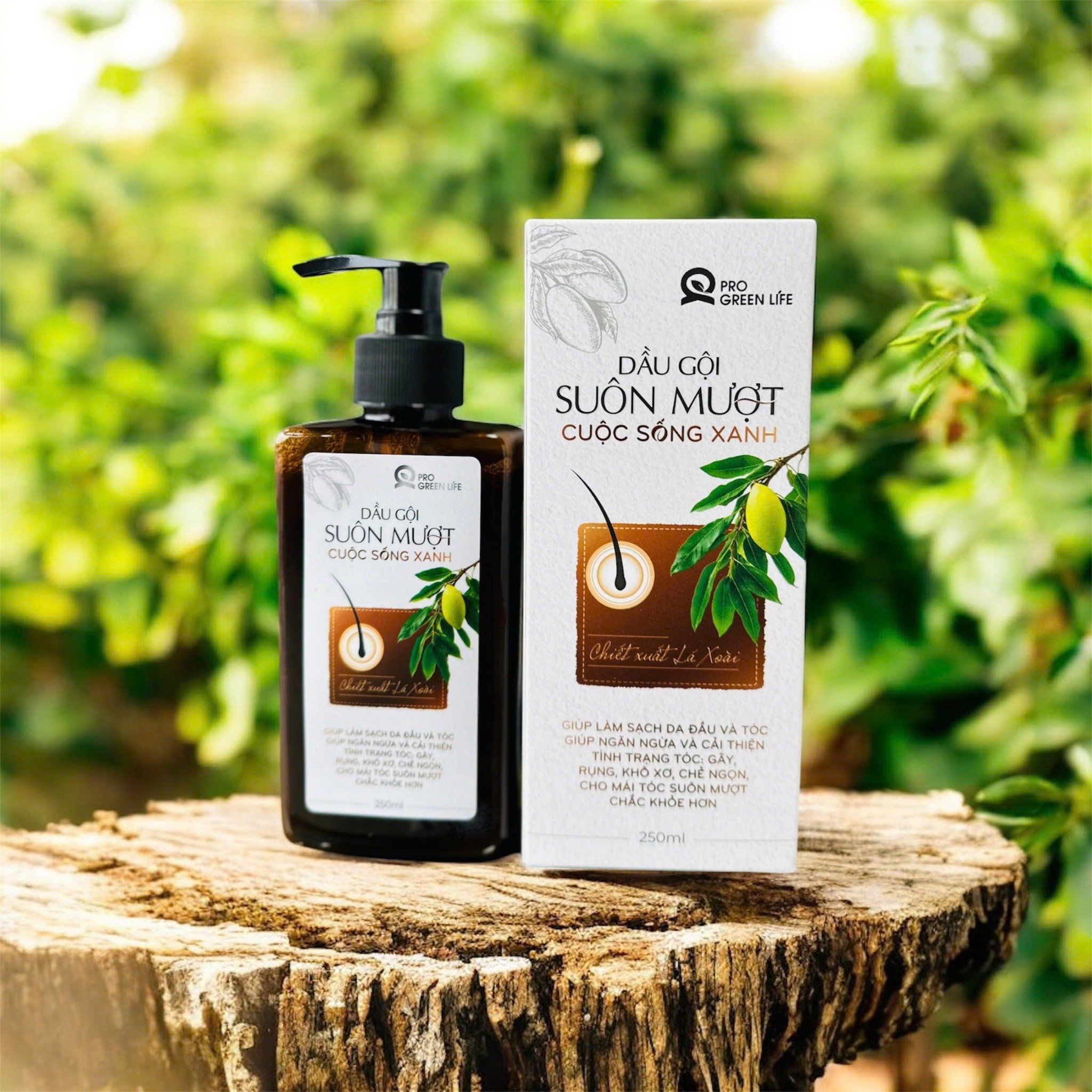  Dầu Gội Suôn Mượt Cuộc Sống Xanh 250ml 