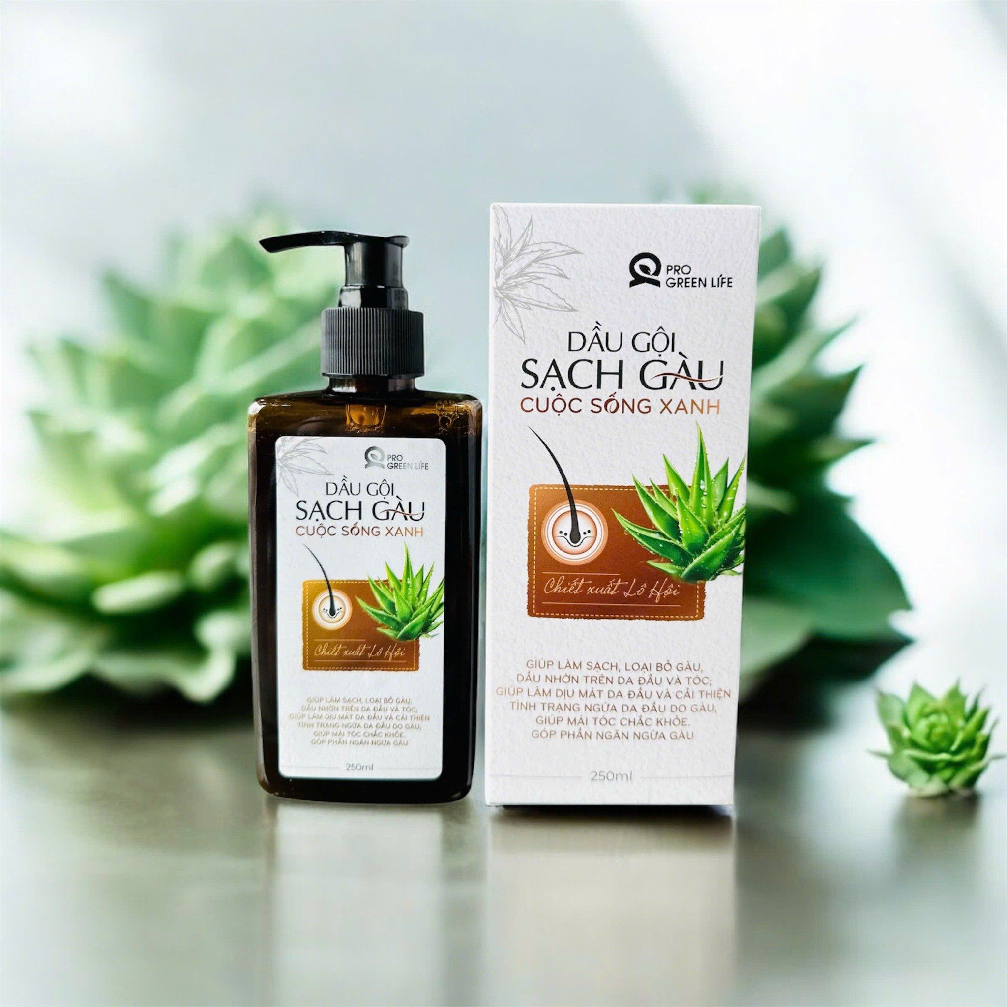  Dầu Gội Sạch Gàu Cuộc Sống Xanh 250ml 