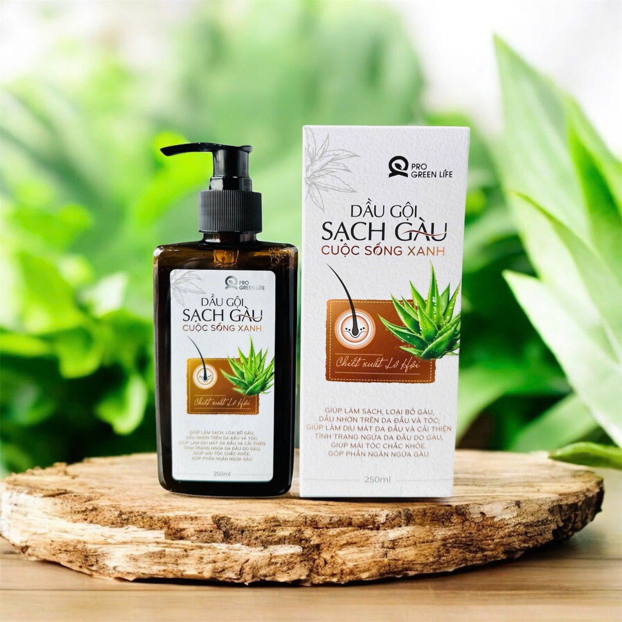  Dầu Gội Sạch Gàu Cuộc Sống Xanh 250ml 
