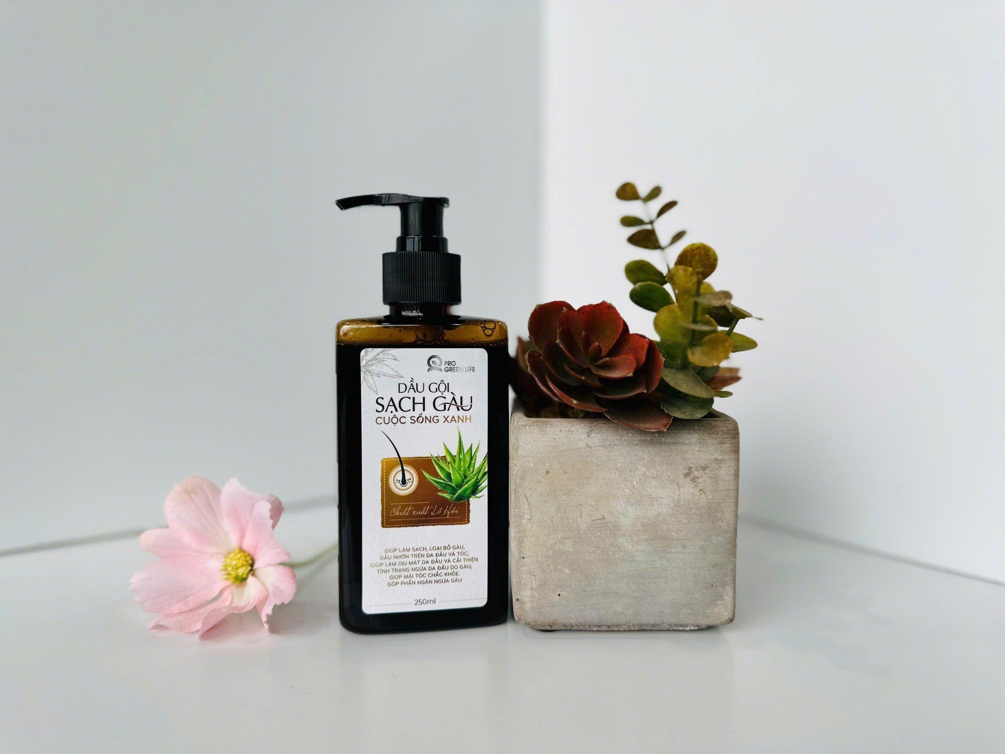  Dầu Gội Sạch Gàu Cuộc Sống Xanh 250ml 