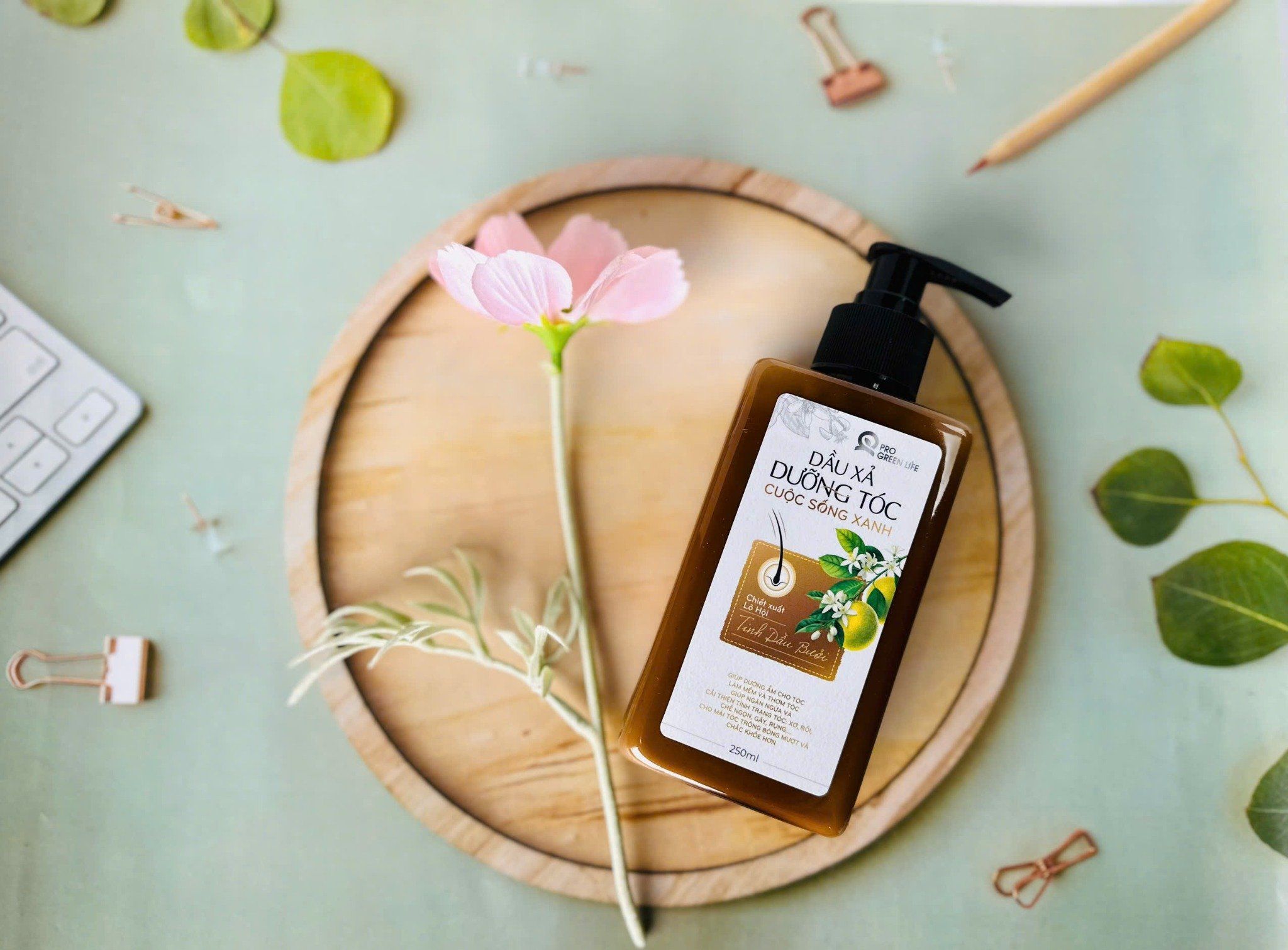  Dầu Xả Dưỡng Tóc Cuộc Sống Xanh 250ml 