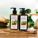  Dầu Xả Dưỡng Tóc Cuộc Sống Xanh 250ml 