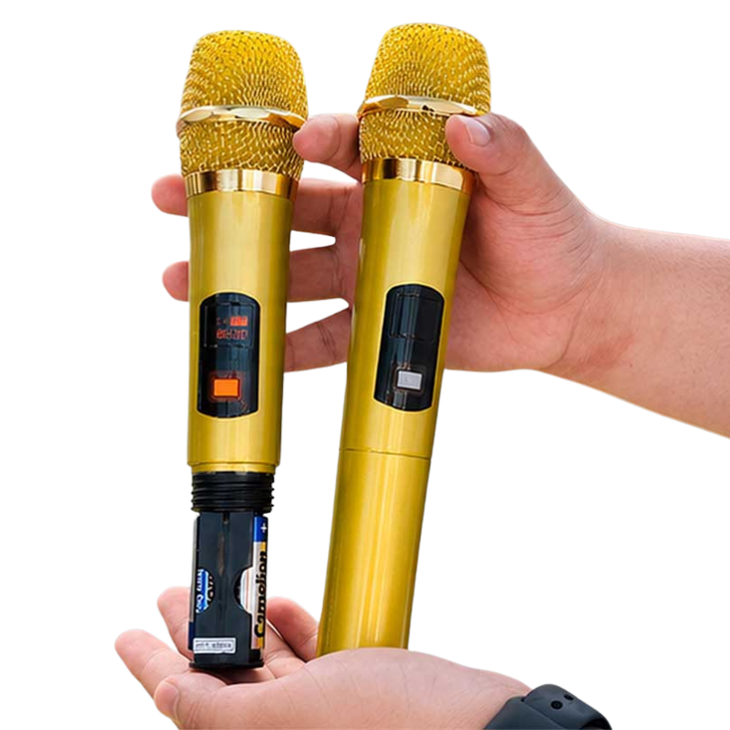 ** Loa kèm 2 mic VB-668