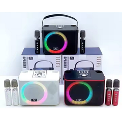 ** Loa kèm 2 mic YS226