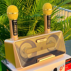 ** Loa Blueooth kèm 2 mic SD 301S