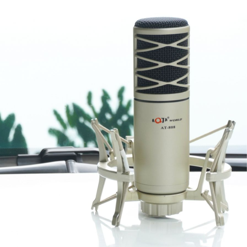 Micro thu âm AT808