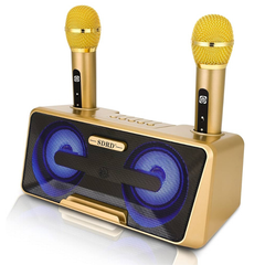 ** Loa Blueooth kèm 2 mic SD 301S