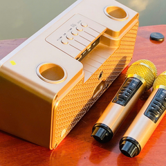 ** Loa Blueooth kèm 2 mic SD 301S