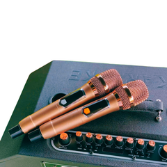 ** Loa kèm 2 mic BG88