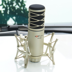 Micro thu âm AT808