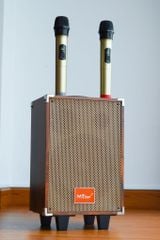 ** Loa Bluetooth kèm 2 mic BK51