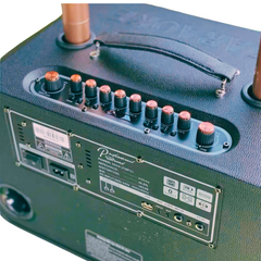 ** Loa kèm 2 mic BG88