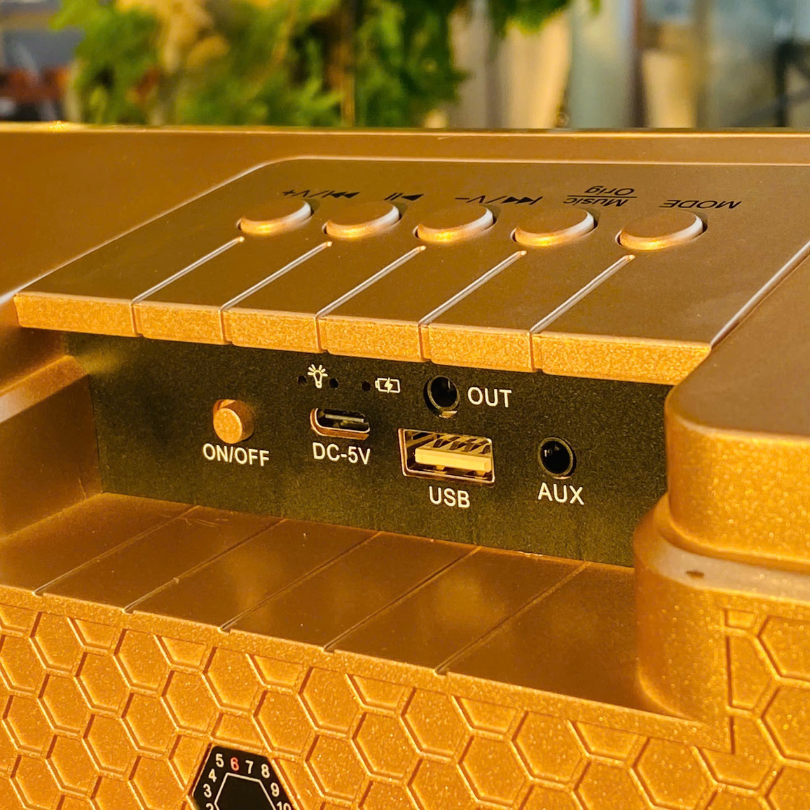 ** Loa Blueooth kèm 2 mic SD 301S