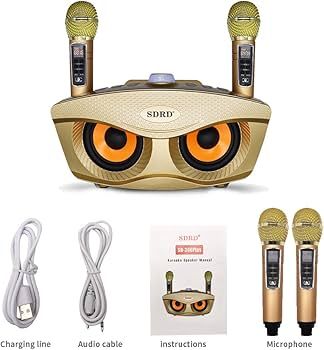 ** Loa Bluetooth kèm 2 mic SD306 Plus