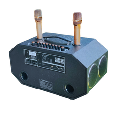 ** Loa kèm 2 mic BG88