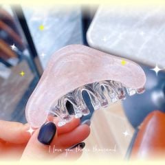 ** Kẹp càng cua xà cừ kim tuyến hoa lá nhí