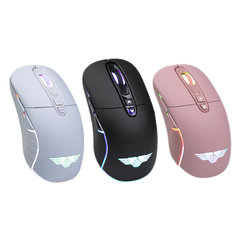[C] Chuột không dây + BT Newmen WGX6