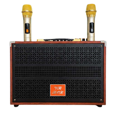** Loa kèm 2 mic VB-668