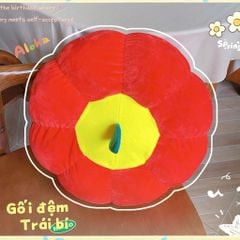 ** Đệm ngồi bệt hình quả Bí đỏ