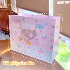 ** Túi quà hình gấu nâu nơ hồng đội nón 30x24x12 cm