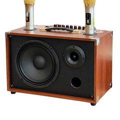 ** Loa kèm 2 mic VB-668