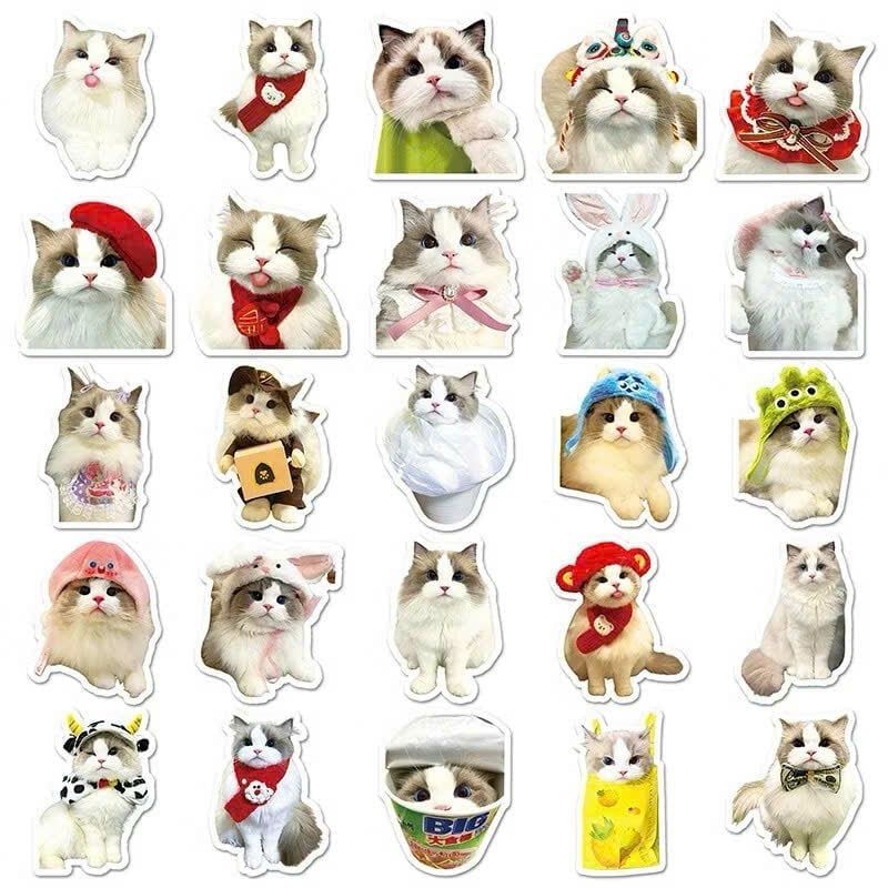 ** Set 60 sticker hình mèo cute